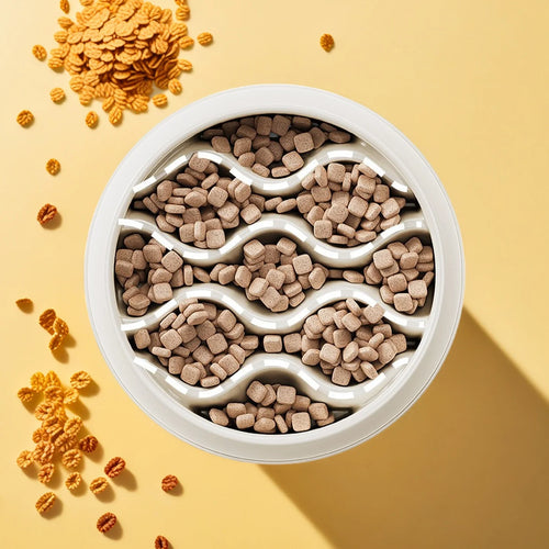 Fashion Slow-Feeder Cat Bowl Set: Anti-Splash Dual Dish - Thick PP Plastic for Mess-Free Eating & Choke Prevention