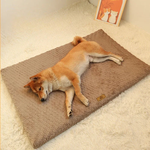 Orthopedic Memory Foam Dog Bed with Washable Faux Fur Cover