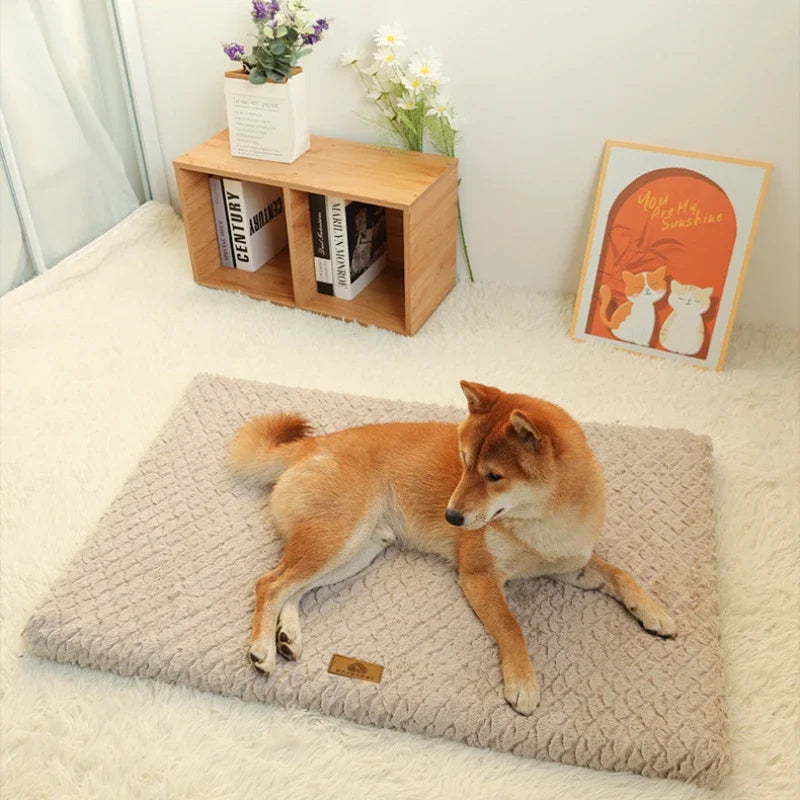 Orthopedic Memory Foam Dog Bed with Washable Faux Fur Cover