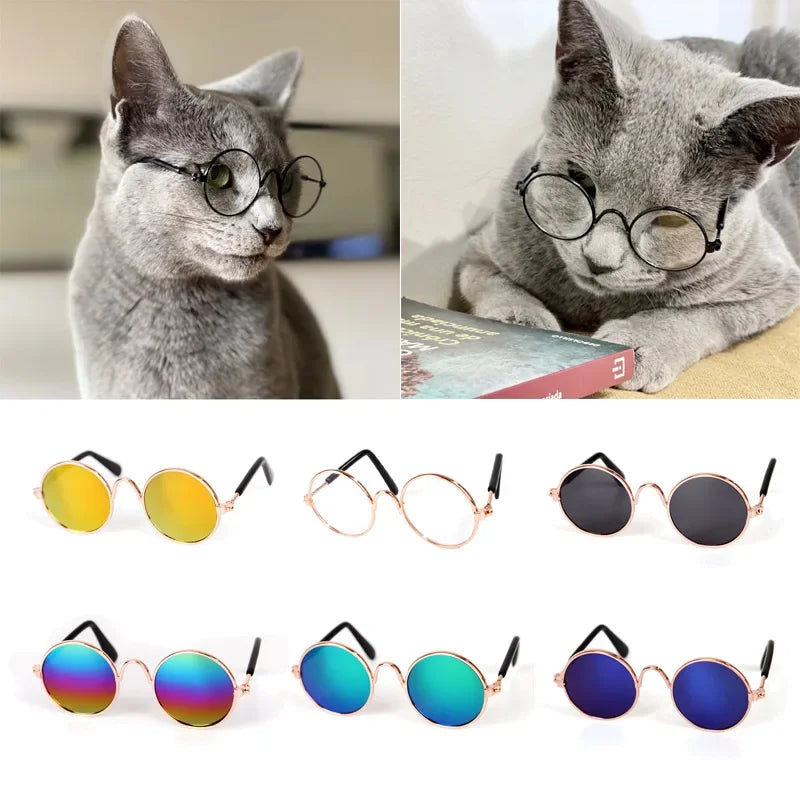Vintage Round Pet Sunglasses for Small Dogs & Cats