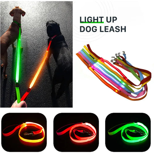LED Dog Leash – USB Rechargeable, 3 Light Modes